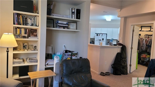 living area with light colored carpet