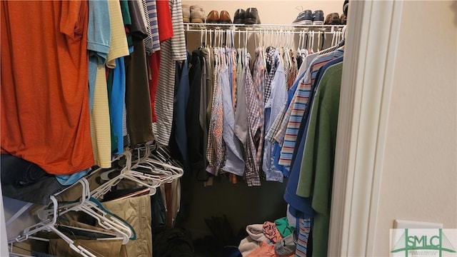 view of spacious closet