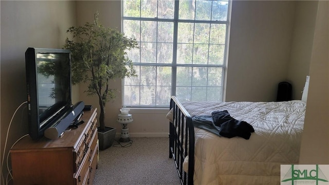 bedroom with multiple windows and light colored carpet