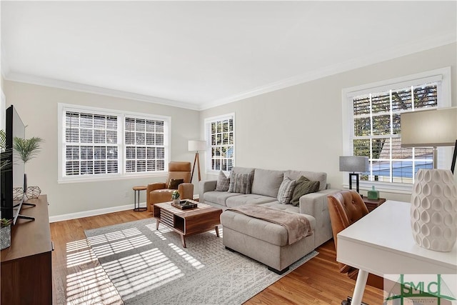 living room with wood-type flooring and crown molding