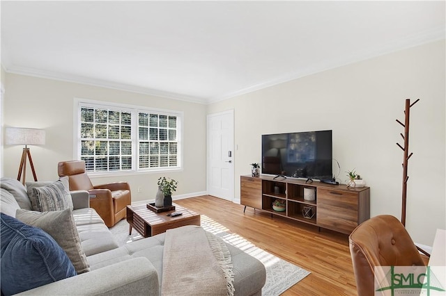 living room with crown molding and light hardwood / wood-style floors