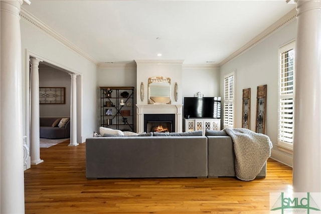 living room with hardwood / wood-style floors and ornamental molding