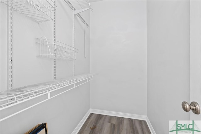 walk in closet with wood-type flooring