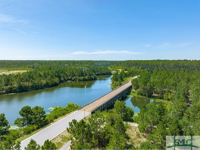 birds eye view of property with a forest view and a water view