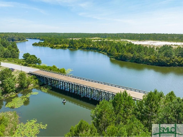 birds eye view of property with a water view and a view of trees