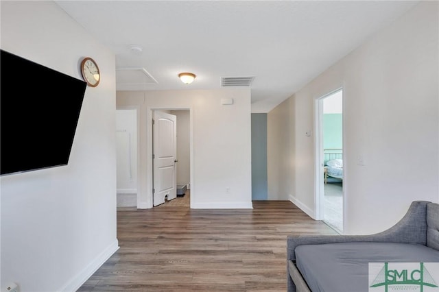 living room featuring wood-type flooring