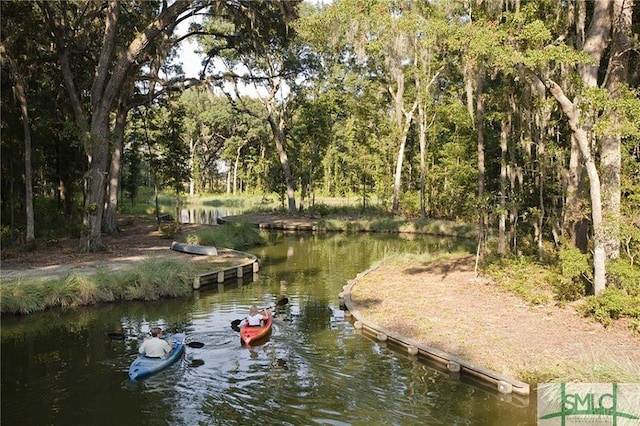 dock area with a water view