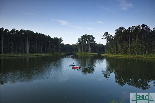 property view of water