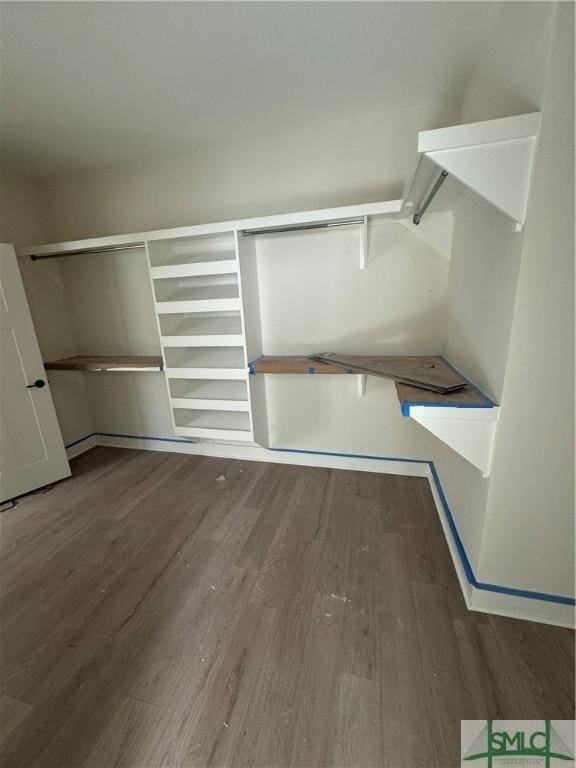 walk in closet featuring dark hardwood / wood-style floors