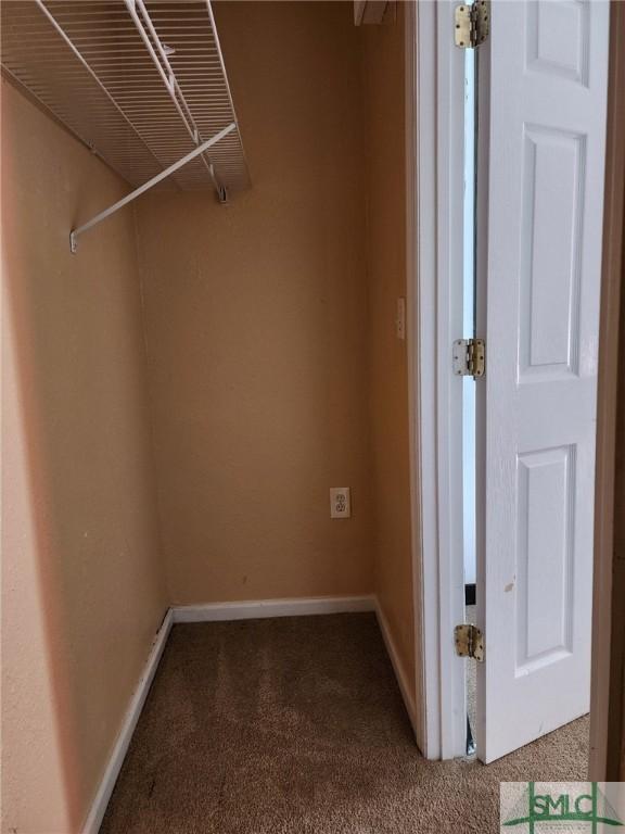 spacious closet featuring carpet