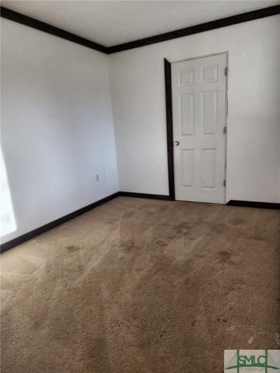 empty room with crown molding and carpet floors