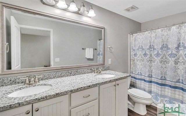 bathroom with vanity, wood-type flooring, and toilet