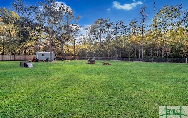 view of yard with a storage unit