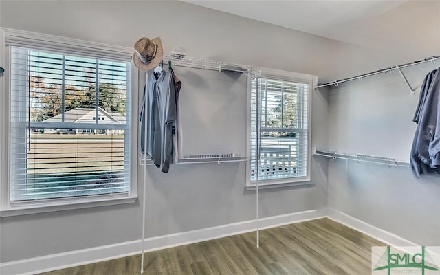 walk in closet with hardwood / wood-style flooring