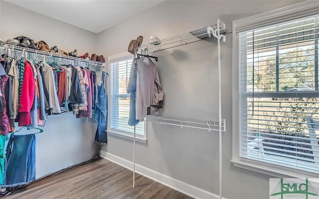 walk in closet featuring wood-type flooring