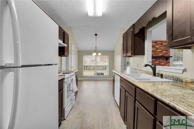 kitchen with white appliances, sink, a wealth of natural light, and light hardwood / wood-style flooring