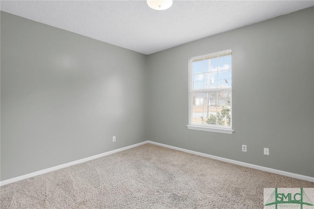 spare room with a textured ceiling and carpet floors