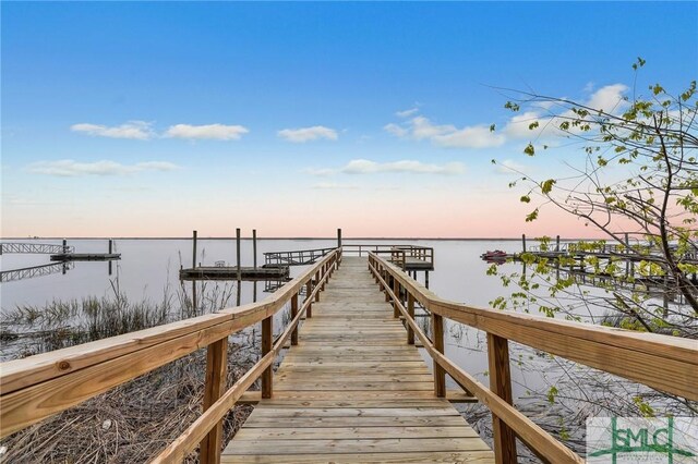 dock area with a water view