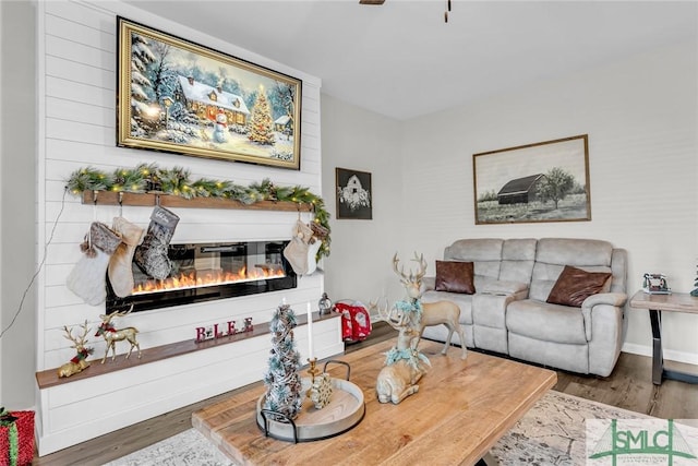 living room featuring hardwood / wood-style flooring