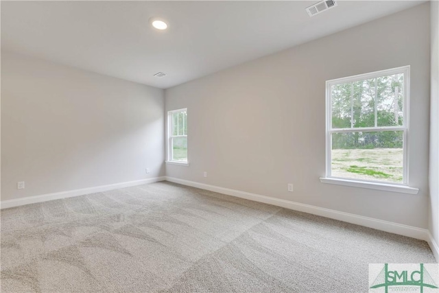 empty room with carpet flooring and a healthy amount of sunlight