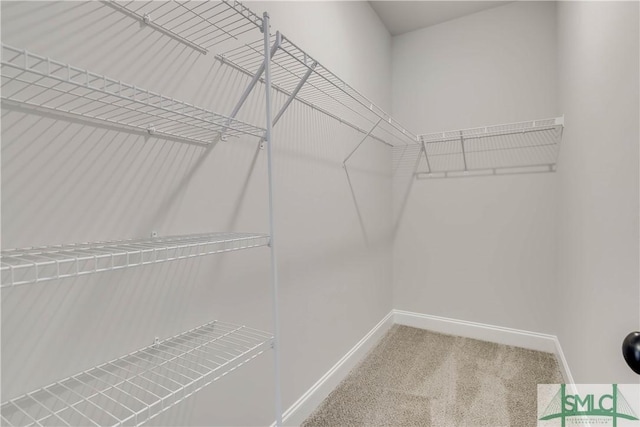 walk in closet with carpet floors