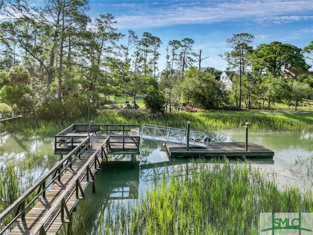 dock area with a water view