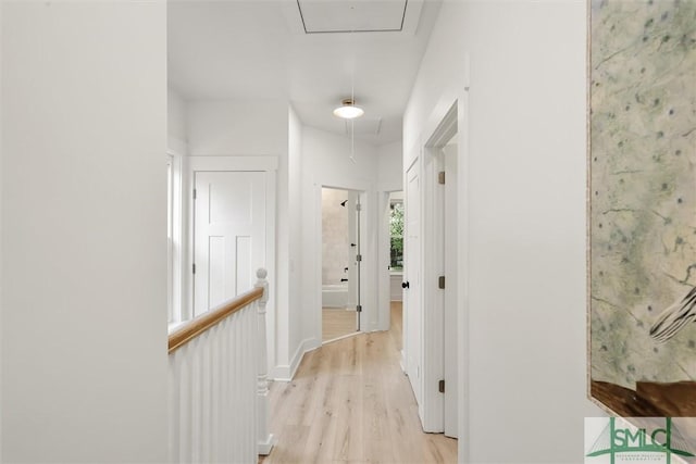 corridor featuring light hardwood / wood-style flooring