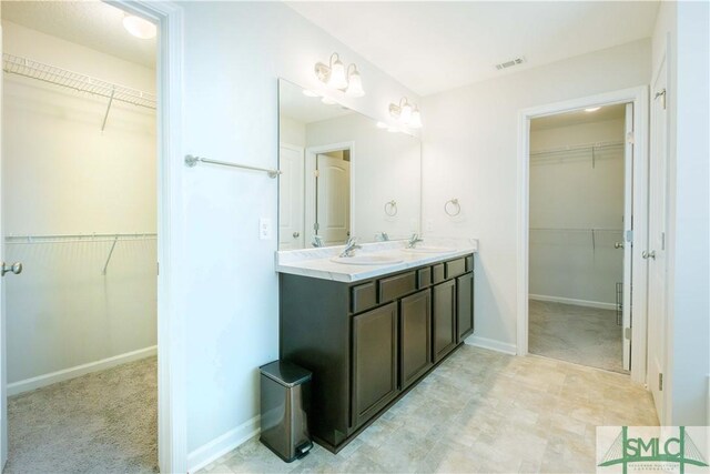 bathroom with vanity