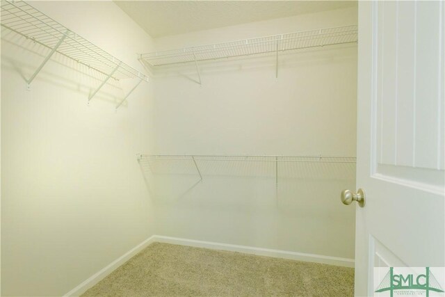 walk in closet with carpet flooring