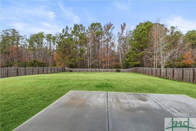 view of yard with a patio area