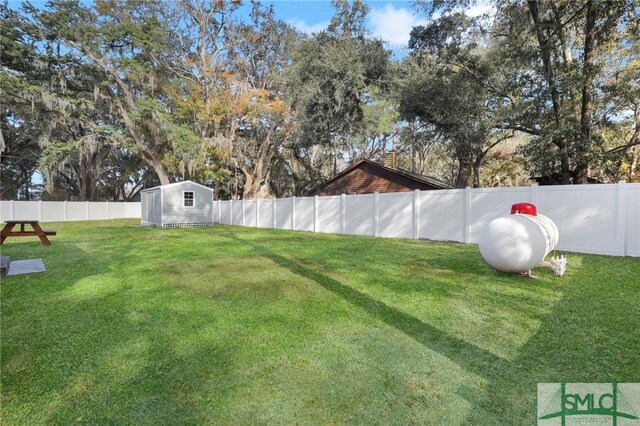 view of yard featuring a storage unit