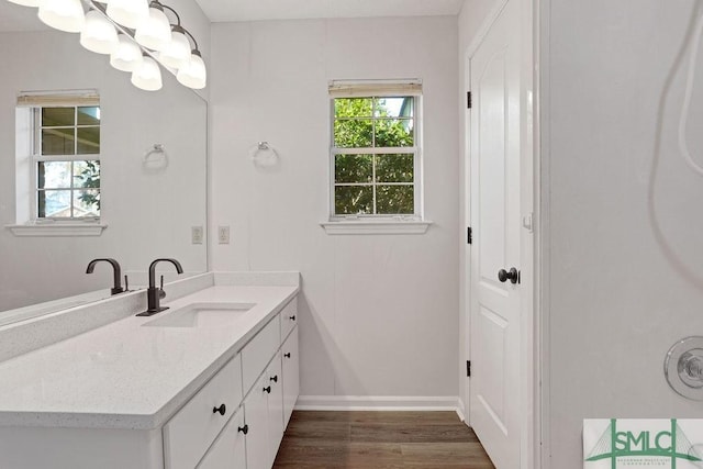 bathroom featuring hardwood / wood-style floors and vanity