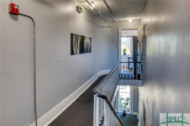 hallway featuring a healthy amount of sunlight