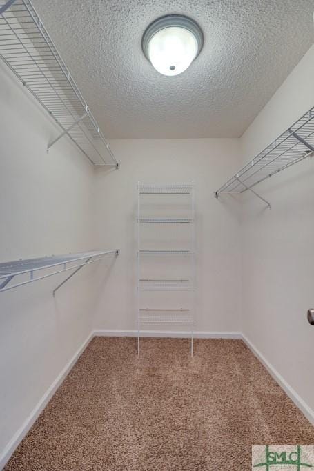 walk in closet featuring carpet flooring