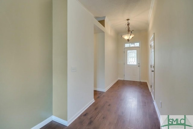 foyer entrance featuring dark wood-type flooring and ornamental molding