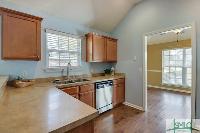 kitchen featuring dishwasher, dark hardwood / wood-style floors, lofted ceiling, and sink