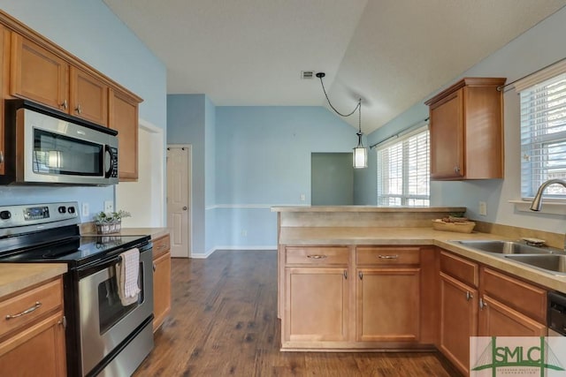 kitchen with dark hardwood / wood-style floors, sink, stainless steel appliances, and a wealth of natural light