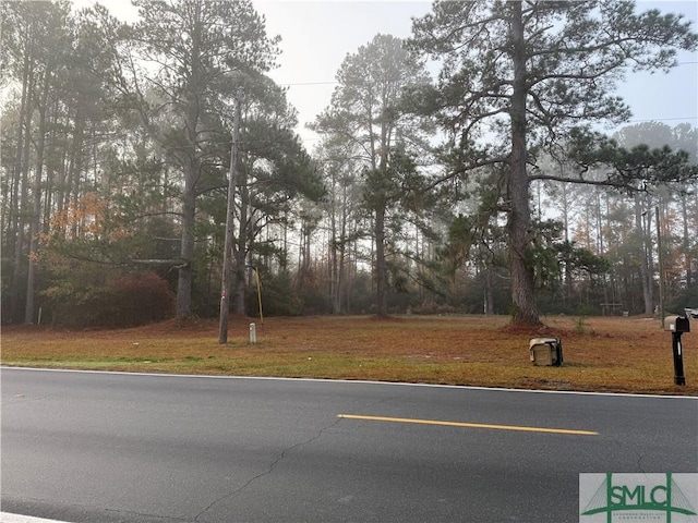 0 Old Tusculum Rd, Springfield GA, 31329 land for sale