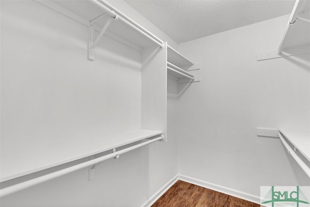 walk in closet with dark wood-type flooring