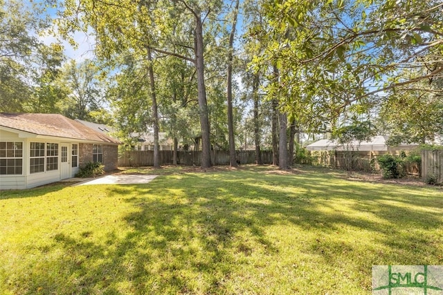 view of yard featuring a patio area