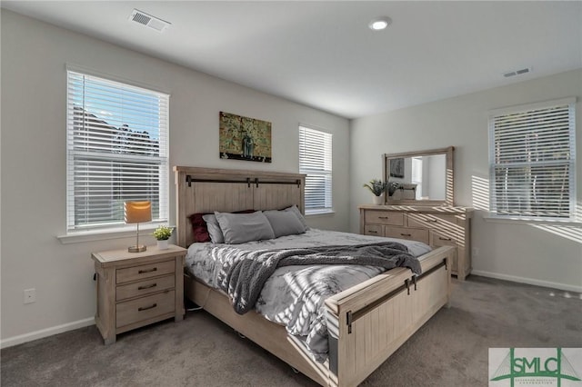 carpeted bedroom with multiple windows