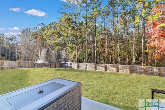 view of yard with a trampoline