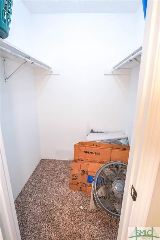 walk in closet with carpet