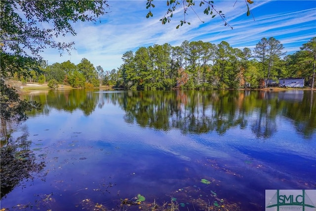 property view of water