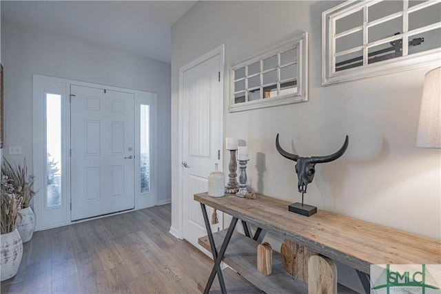 foyer entrance featuring hardwood / wood-style flooring