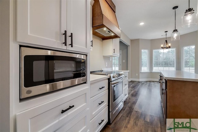 127 Winding Way Rd, Pembroke, GA 31321 - kitchen featuring appliances with stainless steel finishes, custom range hood, light countertops, dark wood-style floors, and recessed lighting