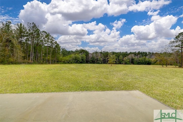 127 Winding Way Rd, Pembroke, GA 31321 - view of green lawn featuring a patio area and a forest view