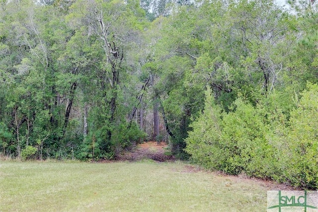 127 Winding Way Rd, Pembroke, GA 31321 - view of grassy yard with a wooded view