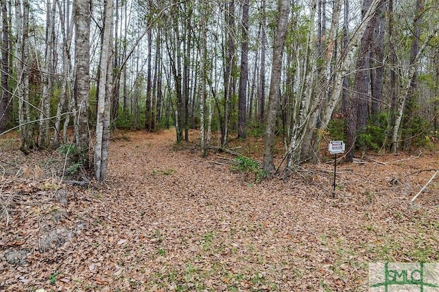 127 Winding Way Rd, Pembroke, GA 31321 - view of wooded area