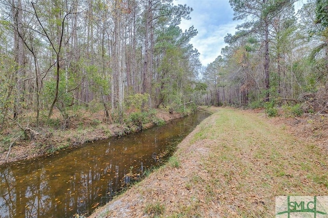 127 Winding Way Rd, Pembroke, GA 31321 - view of yard
